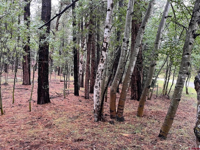 71 Deer Trail Ln, Vallecito Lake/Bayfield, CO 81122