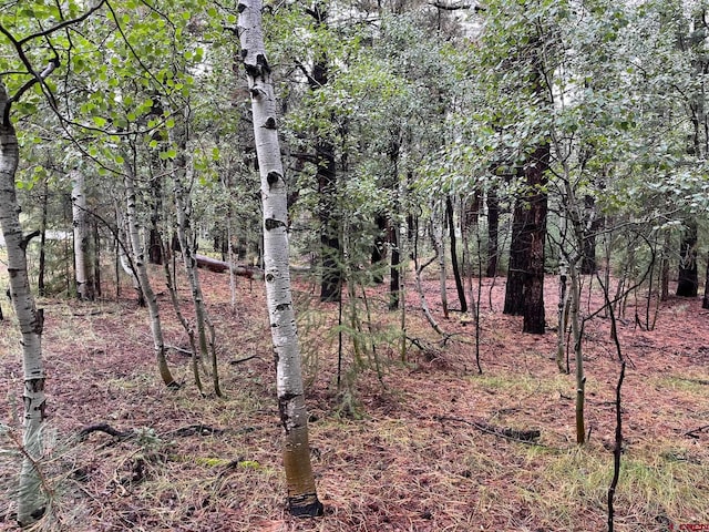 71 Deer Trail Ln, Vallecito Lake/Bayfield, CO 81122