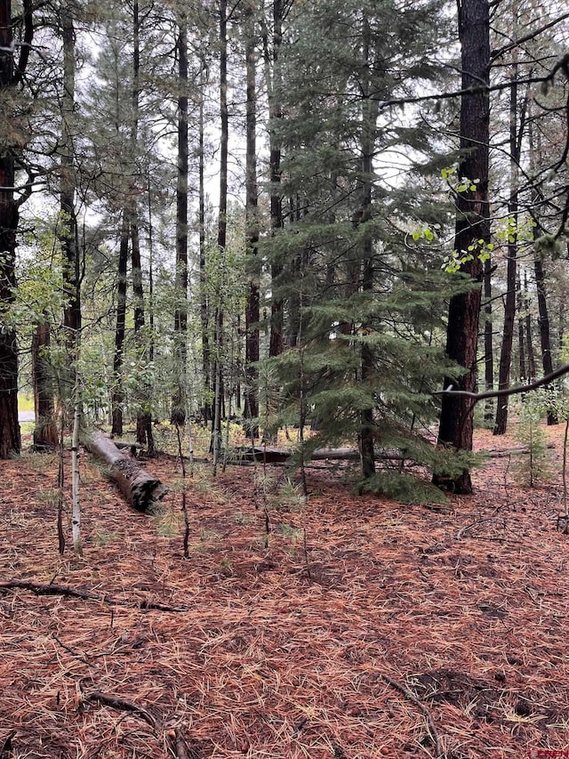 71 Deer Trail Ln, Vallecito Lake/Bayfield, CO 81122