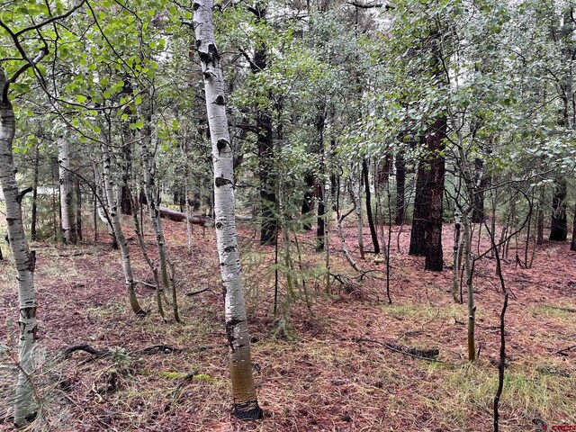 47 Deer Trail Ln, Vallecito Lake/Bayfield, CO 81122