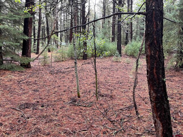 47 Deer Trail Ln, Vallecito Lake/Bayfield, CO 81122