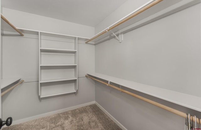 spacious closet with carpet floors