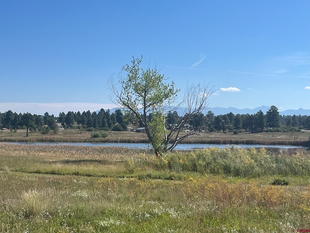 Listing photo 3 for 120 Lake St, Pagosa Springs CO 81147