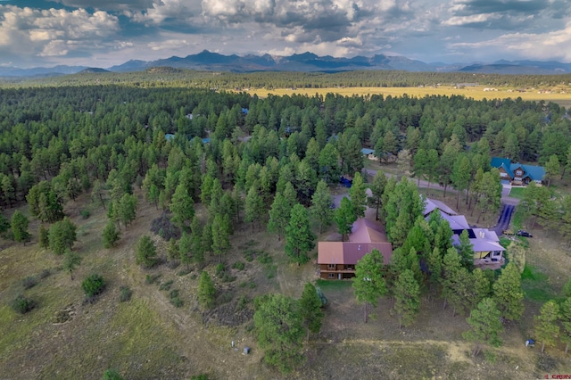 drone / aerial view with a mountain view