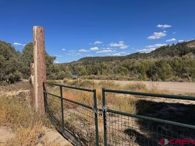 Listing photo 2 for 16400 County Road 500, Pagosa Springs CO 81147