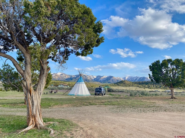 view of yard featuring a mountain view and a rural view