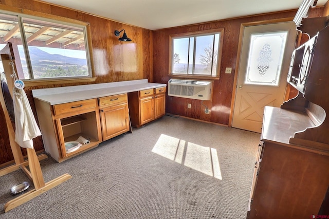 interior space featuring light carpet, plenty of natural light, and wood walls