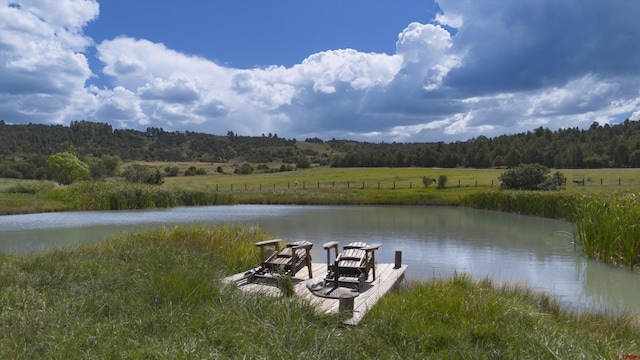 dock area with a water view and a wooded view