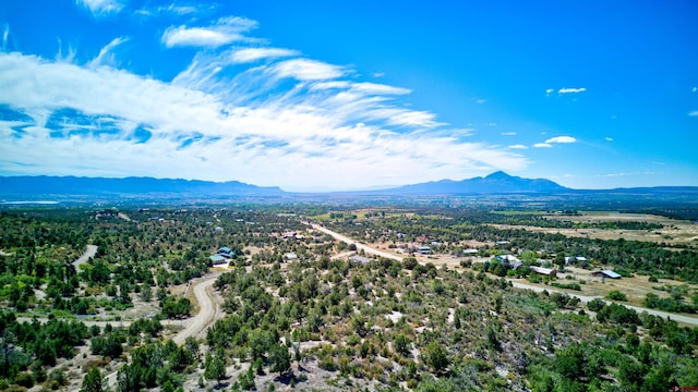 aerial view with a mountain view