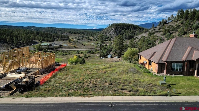 Listing photo 3 for 336 Apple St, Pagosa Springs CO 81147