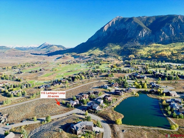 115 Larkspur Loop, Crested Butte CO, 81224 land for sale