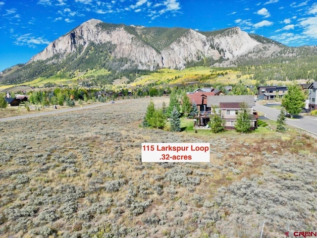 Listing photo 3 for 115 Larkspur Loop, Crested Butte CO 81224