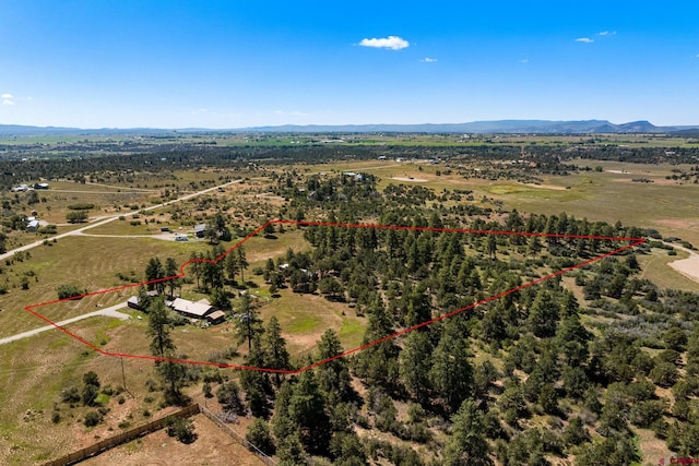 drone / aerial view with a mountain view and a rural view