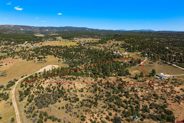 bird's eye view with a mountain view