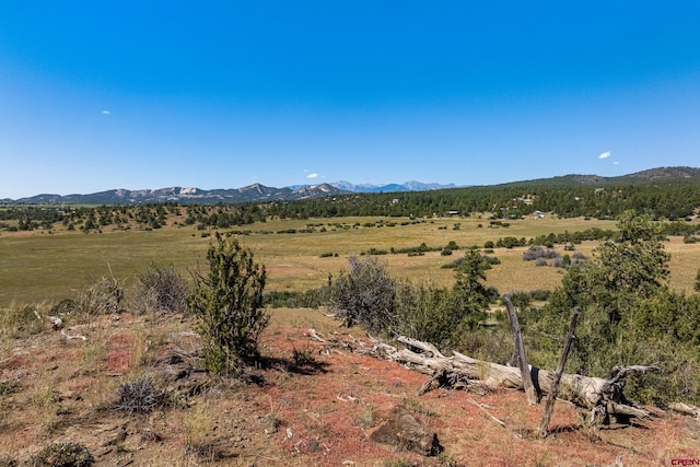 property view of mountains with a rural view