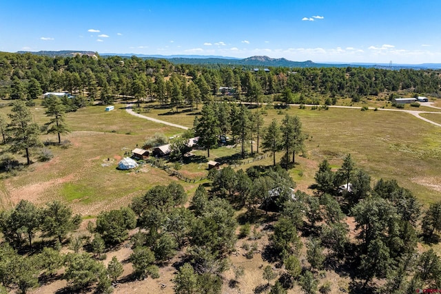 bird's eye view with a mountain view and a rural view