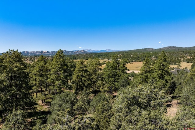 property view of mountains