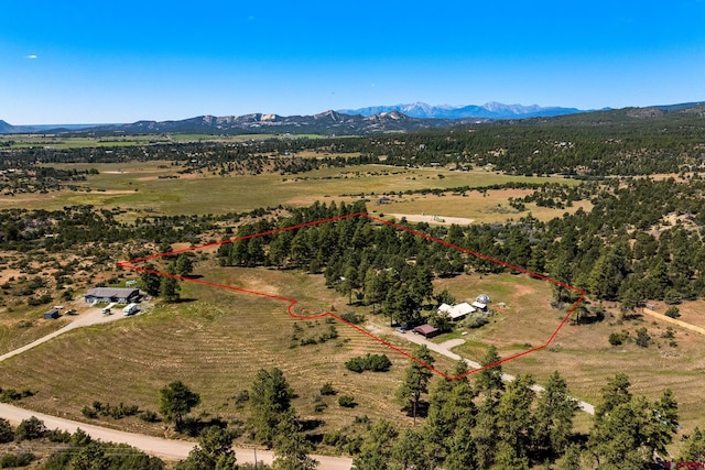 birds eye view of property with a mountain view and a rural view