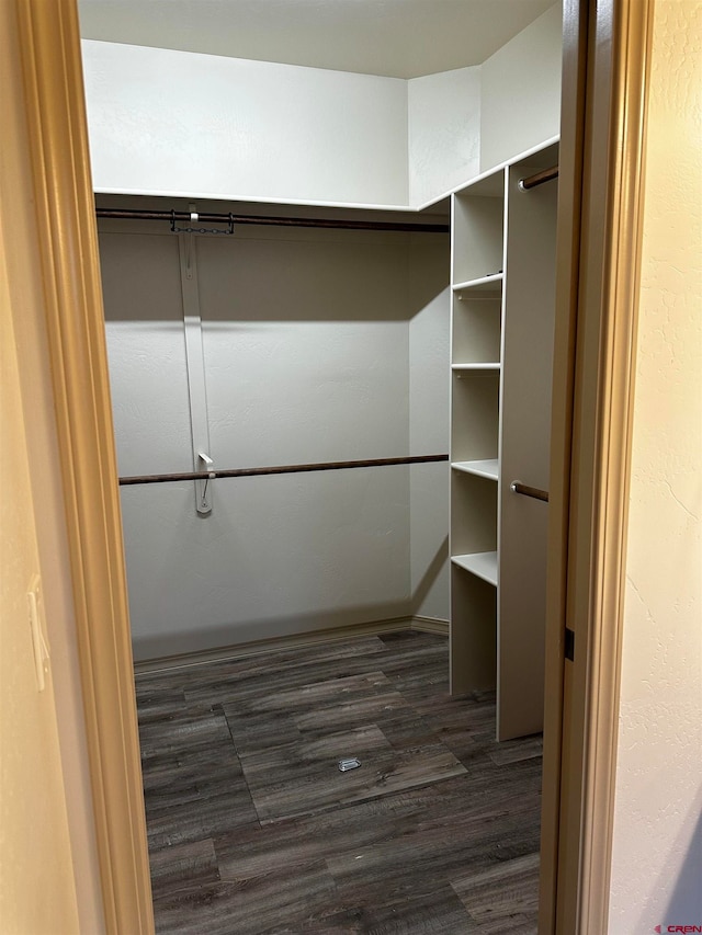 spacious closet with dark wood-type flooring