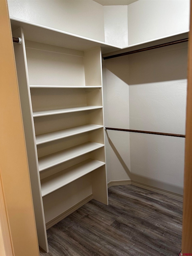 walk in closet featuring dark wood-type flooring