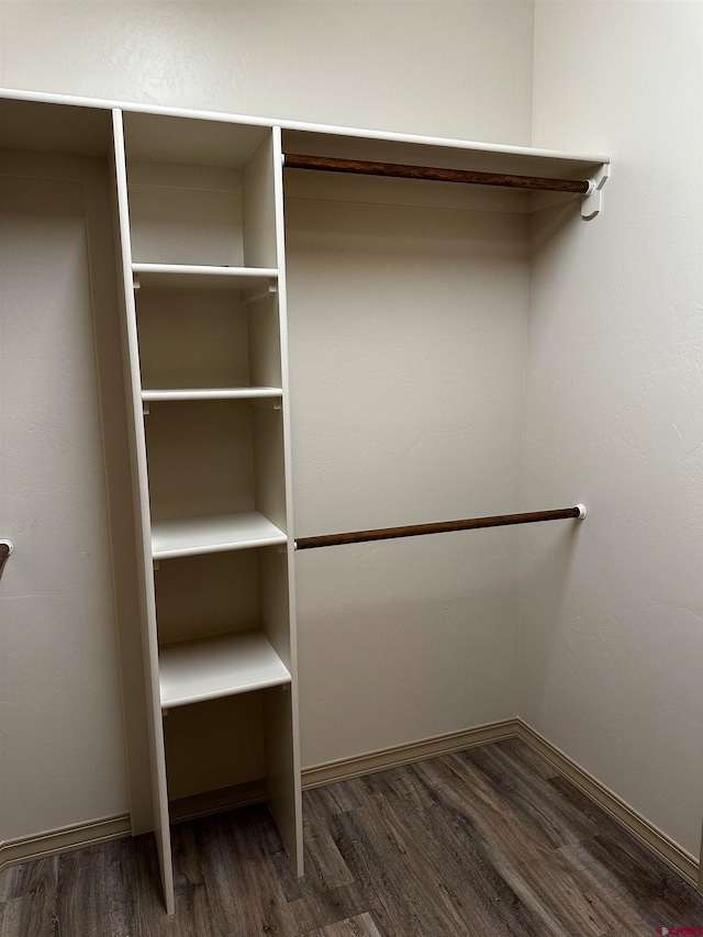 spacious closet with dark wood-type flooring