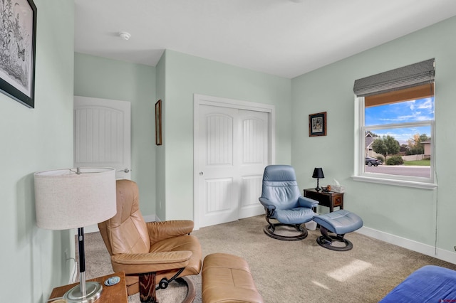 sitting room with carpet floors