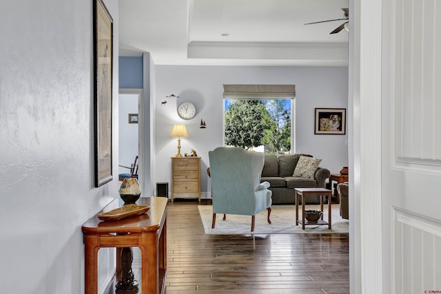 living room with ceiling fan and dark hardwood / wood-style flooring