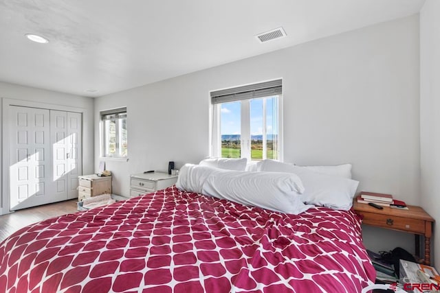 bedroom featuring a closet, hardwood / wood-style floors, and multiple windows