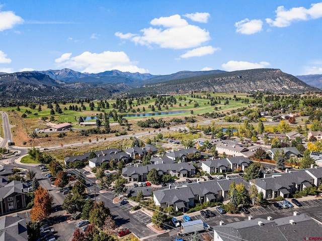 1100 Goeglein Gulch Rd Unit 140, Durango CO, 81301, 2 bedrooms, 2 baths condo for sale