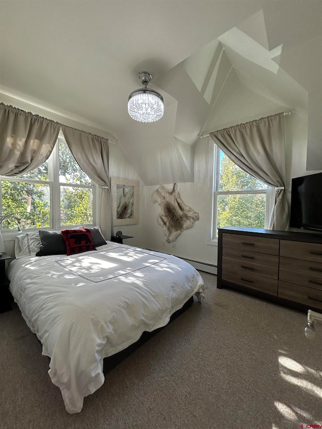 bedroom featuring multiple windows and carpet flooring