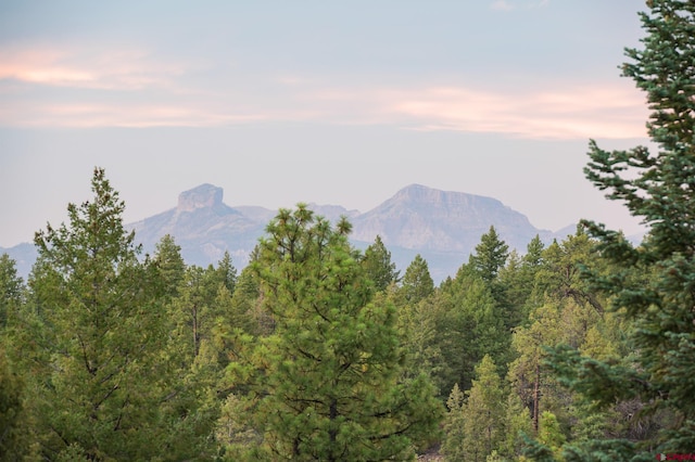 property view of mountains