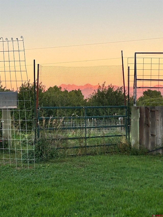 view of yard at dusk