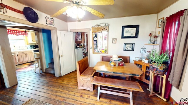 dining area with ceiling fan and dark hardwood / wood-style floors