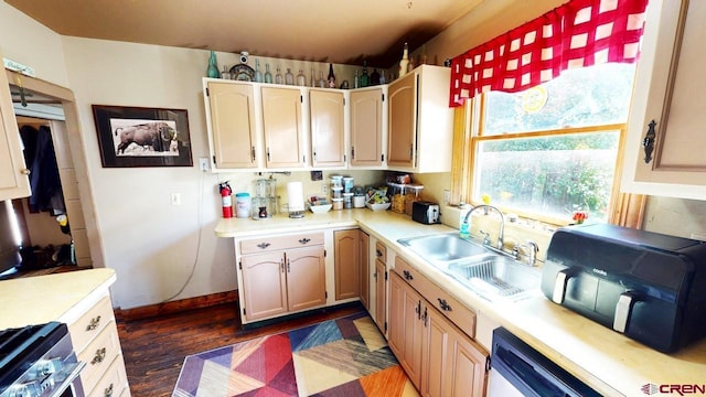 kitchen with dishwasher, stainless steel range, dark wood-type flooring, and sink