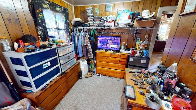 walk in closet with carpet flooring