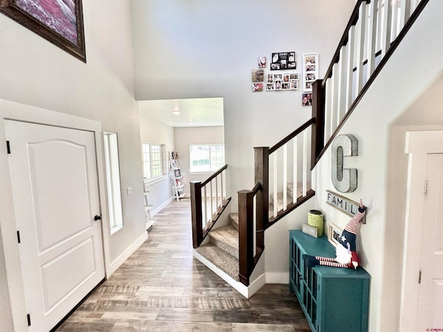 entryway featuring hardwood / wood-style flooring