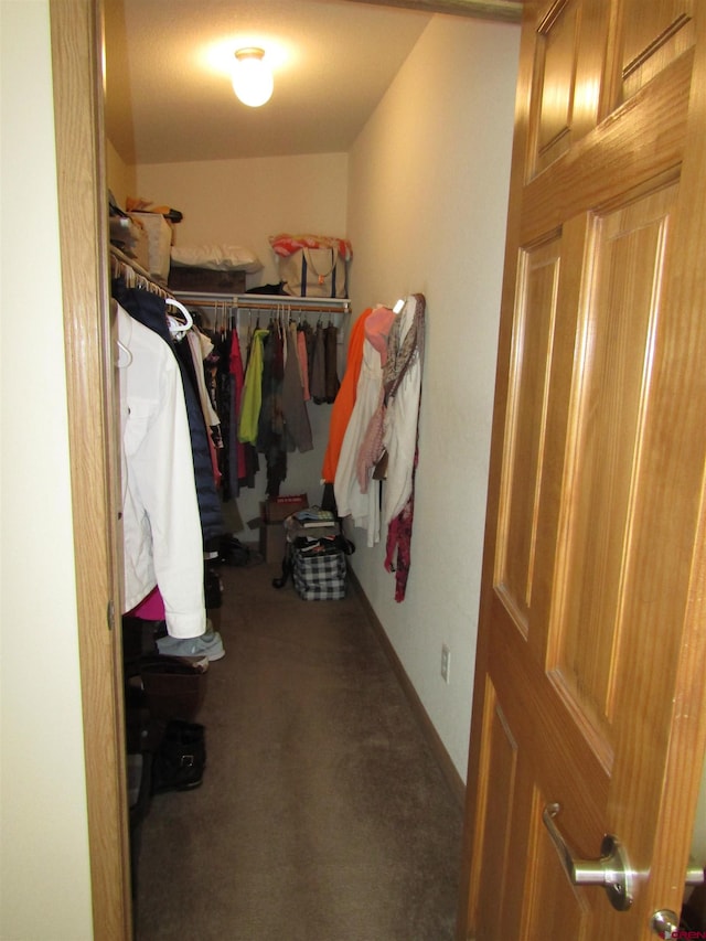 spacious closet with dark colored carpet