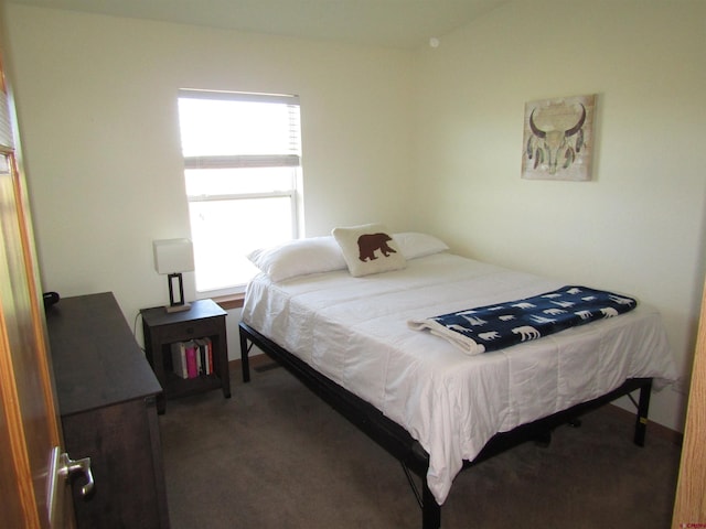 bedroom with carpet flooring