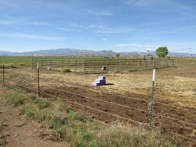 view of yard featuring a mountain view and a rural view