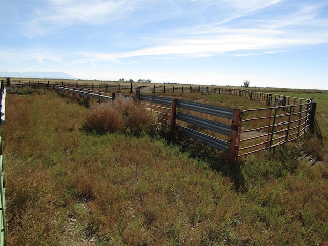 view of yard featuring a rural view