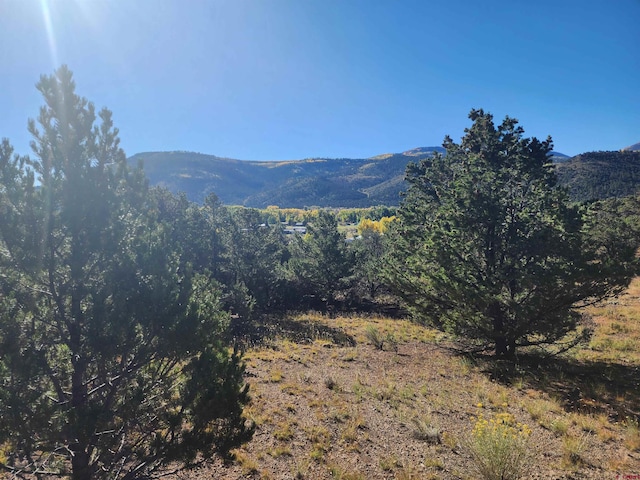 327 Loveland Rd, South Fork CO, 81154 land for sale