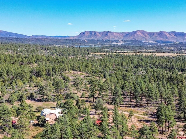 view of mountain feature