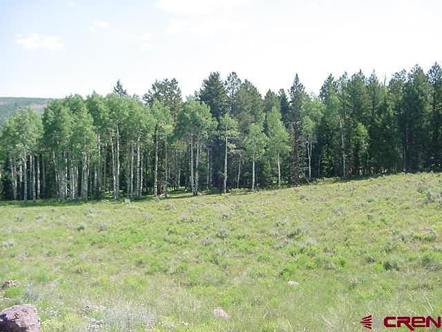 Listing photo 3 for 670 Crest Dr, Cimarron CO 81220