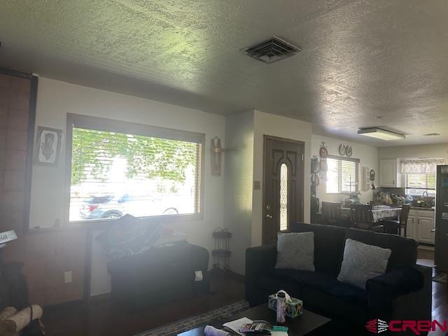 living room featuring wood-type flooring and a textured ceiling