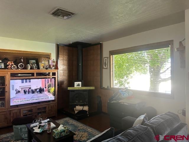 living room with a wood stove and a wealth of natural light