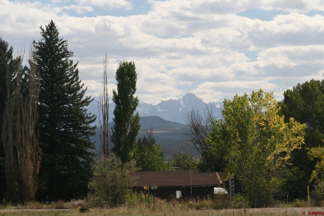 TBD Underwood Ln, Montrose CO, 81403 land for sale