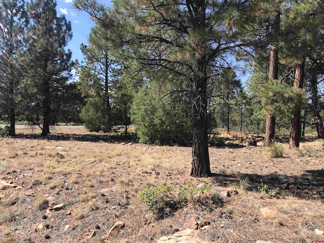 LOT18 Cottontail Ln, Ridgway CO, 81432 land for sale