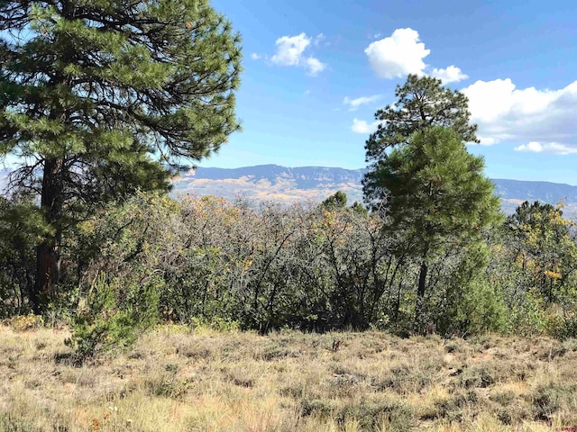 Listing photo 3 for LOT18 Cottontail Ln, Ridgway CO 81432