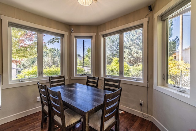 dining area featuring dark hardwood / wood-style flooring