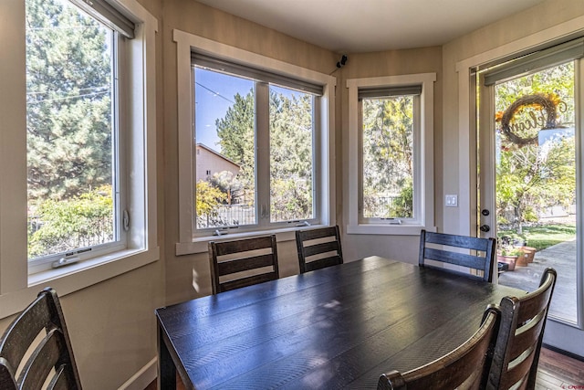 dining room featuring wood-type flooring and a wealth of natural light